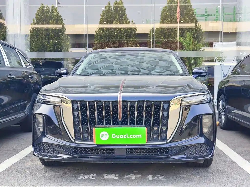 Hongqi H9 2025 2024 2.0T Qi Enjoy Private Fashion Edition