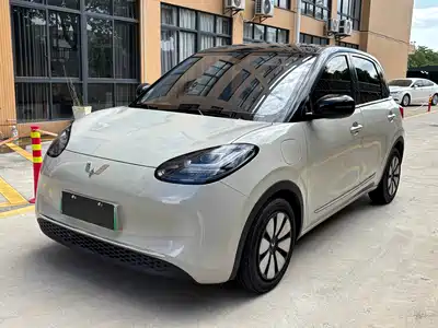 Wuling Bingo