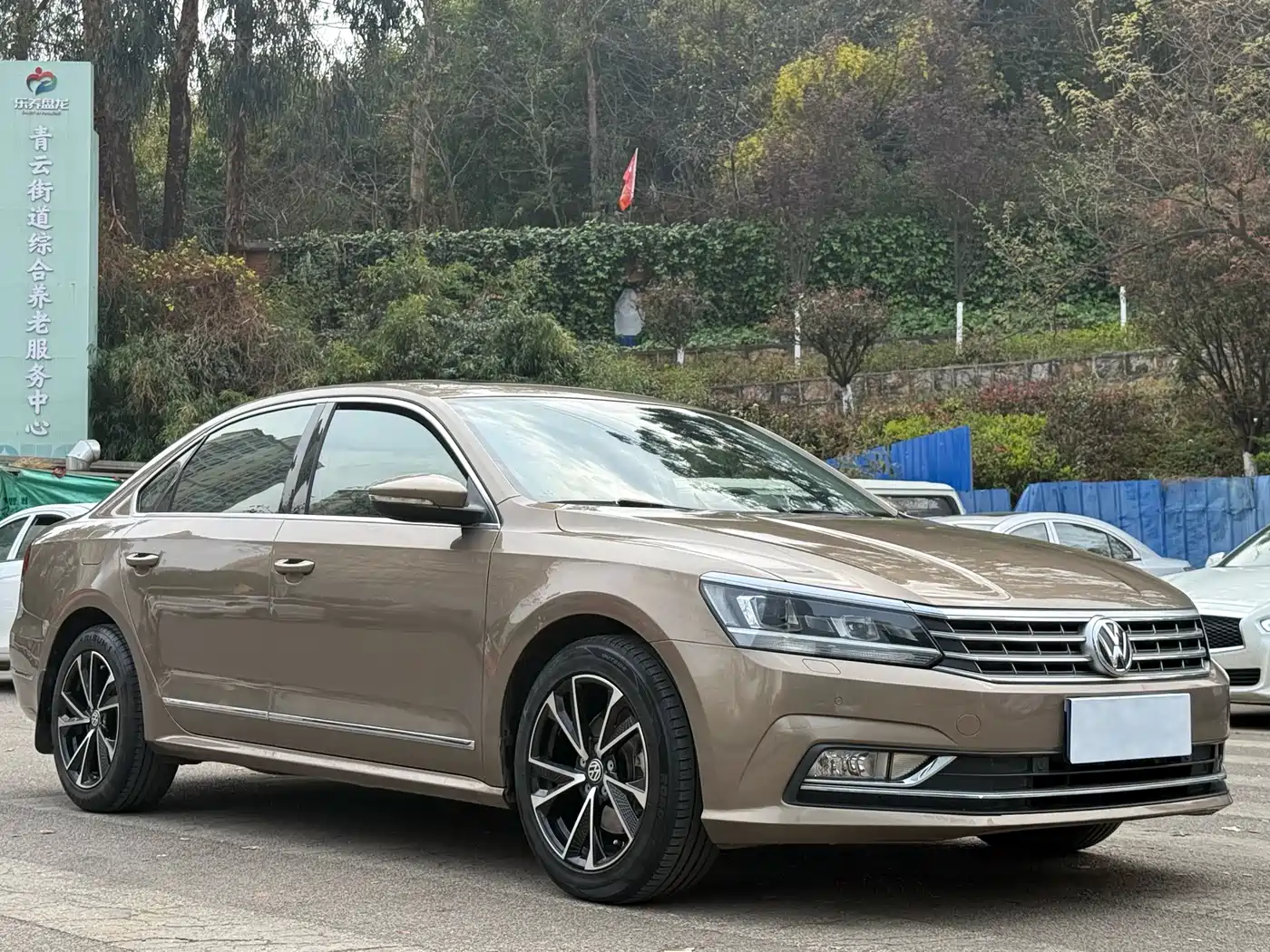 Volkswagen Passat 2016 330TSI DSG Executive Edition фото 3