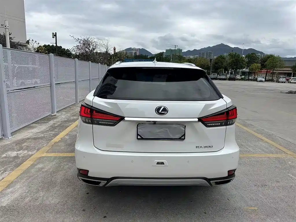 Lexus RX 2020 300 2WD Elite Edition China V фото 8