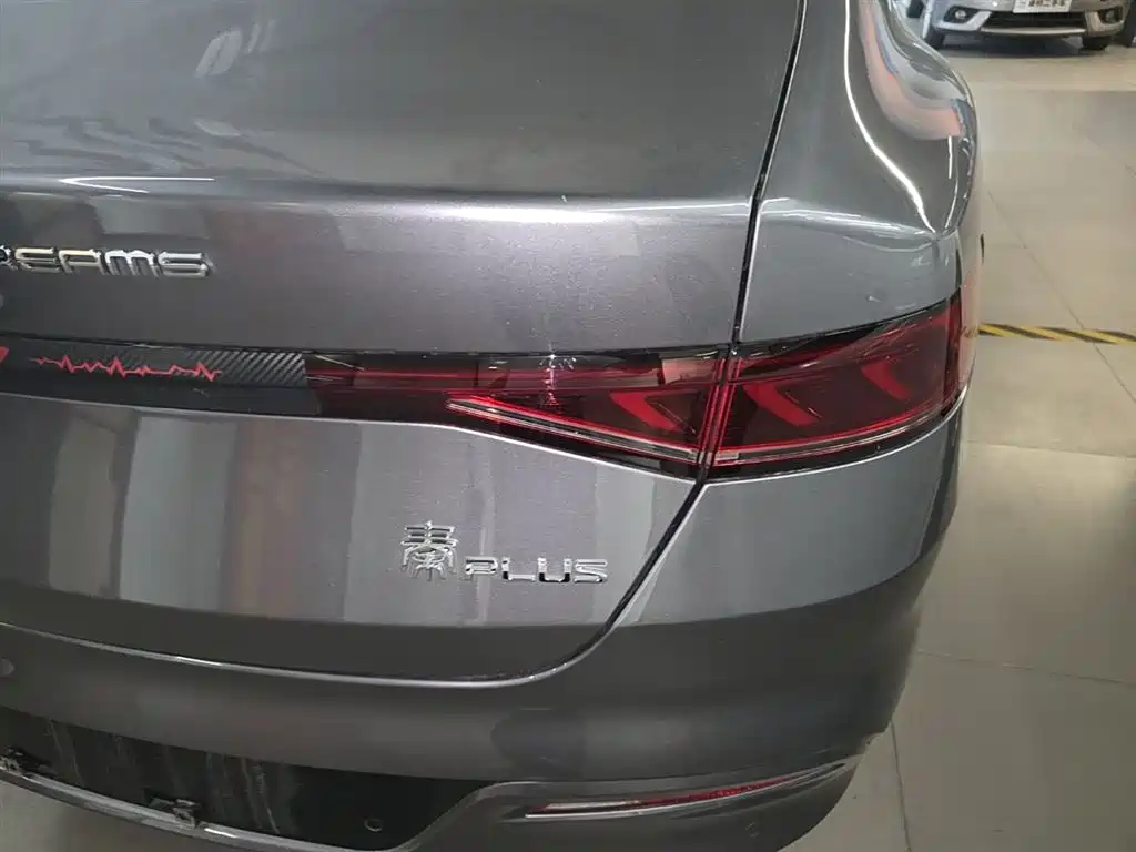 BYD Qin PLUS 2024 Glory Edition DM-i 55KM Leading фото 8