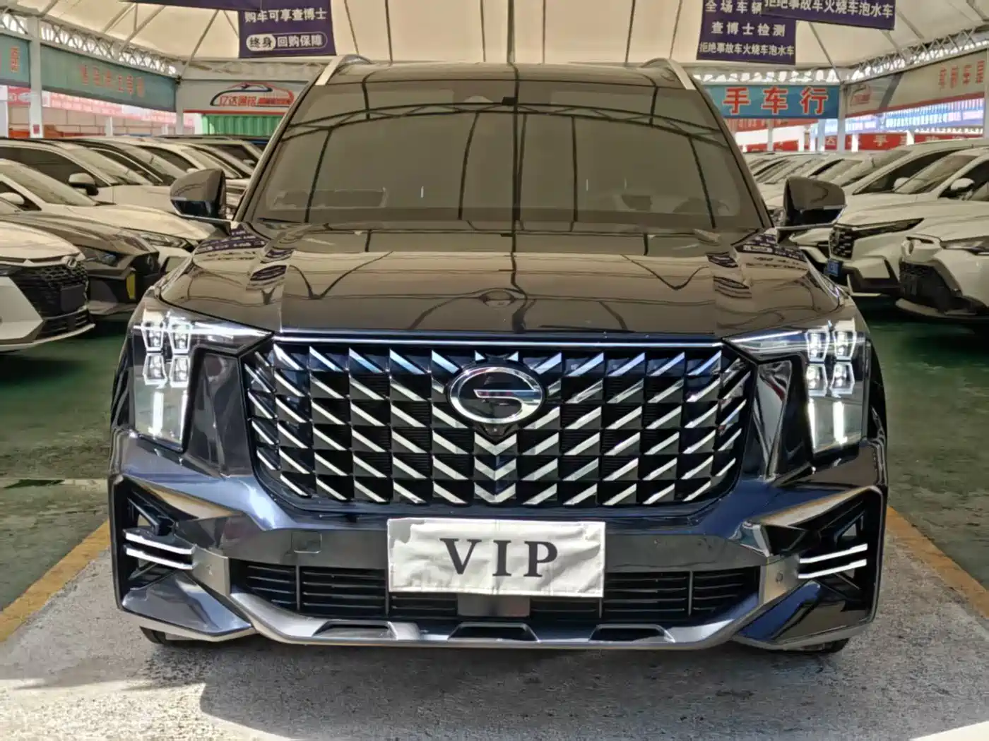 GAC Trumpchi Trumpchi GS8 2025 Pilot Series 2.0TGDI 2WD Luxury Edition 5-seater фото 2