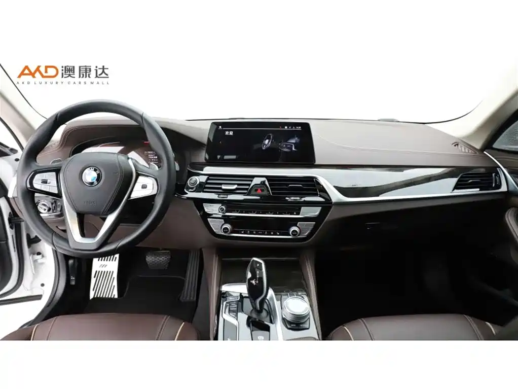 BMW 5 Series 2020 530Li Leading Luxury Package фото 5