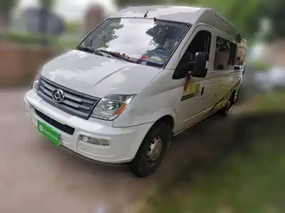 Maxus New V80