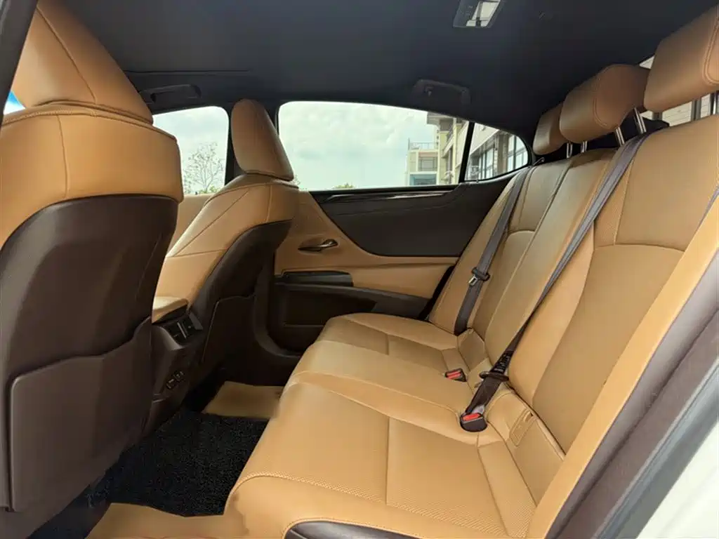 Lexus ES 2020 200 Luxury фото 13