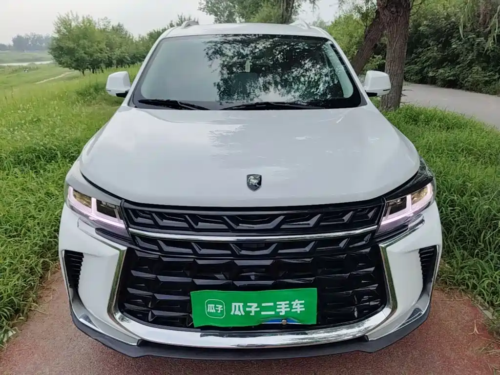 Dongfeng Fengxing Fengxing T5 2023 2023 Golden Age 1.6L Manual Dream Builder 5-Seater