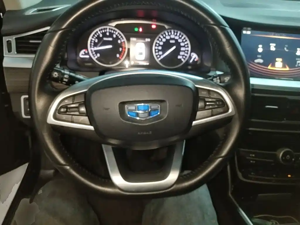 Фото 7 - Geely Borui