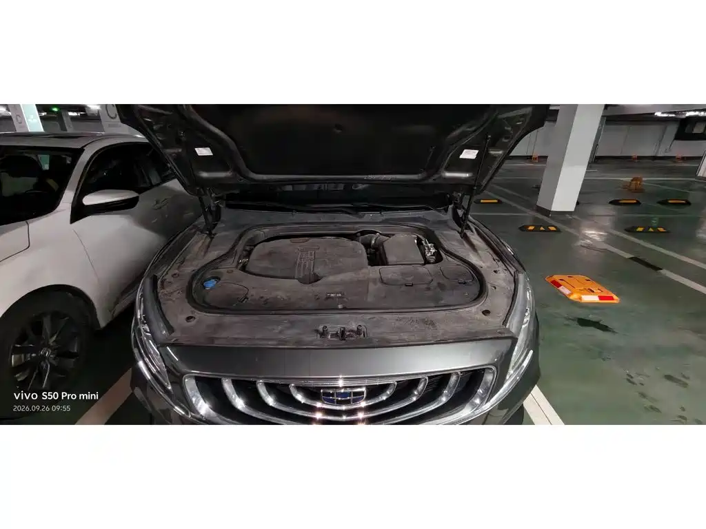 Фото 3 - Geely Borui