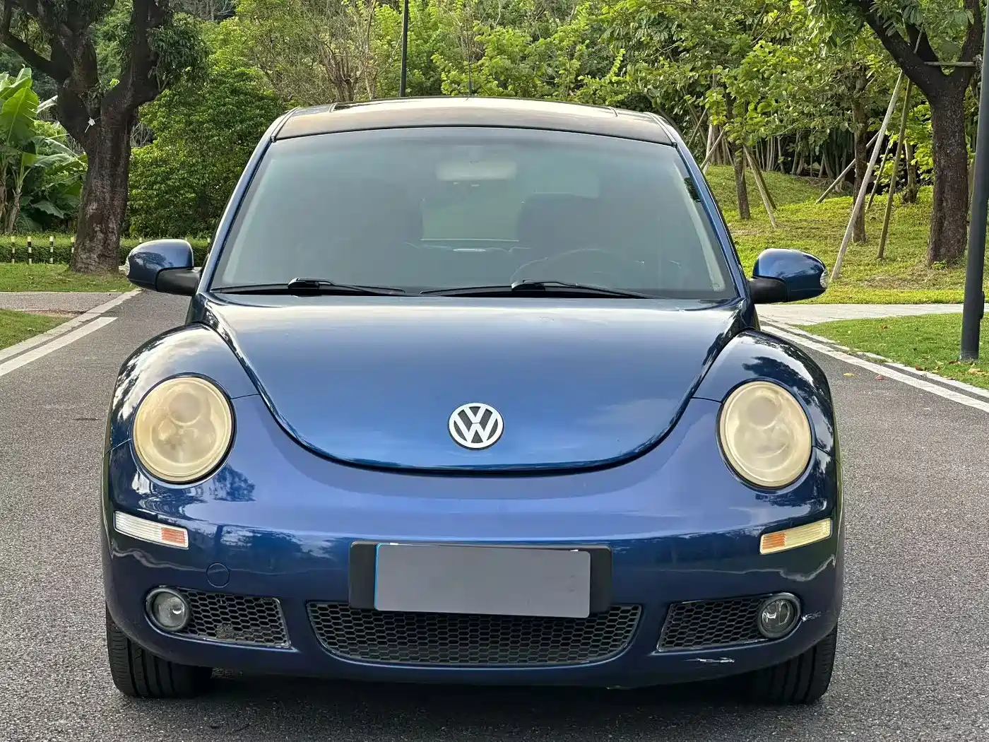 Volkswagen Beetle 2009 2008 2.0 AT Standard