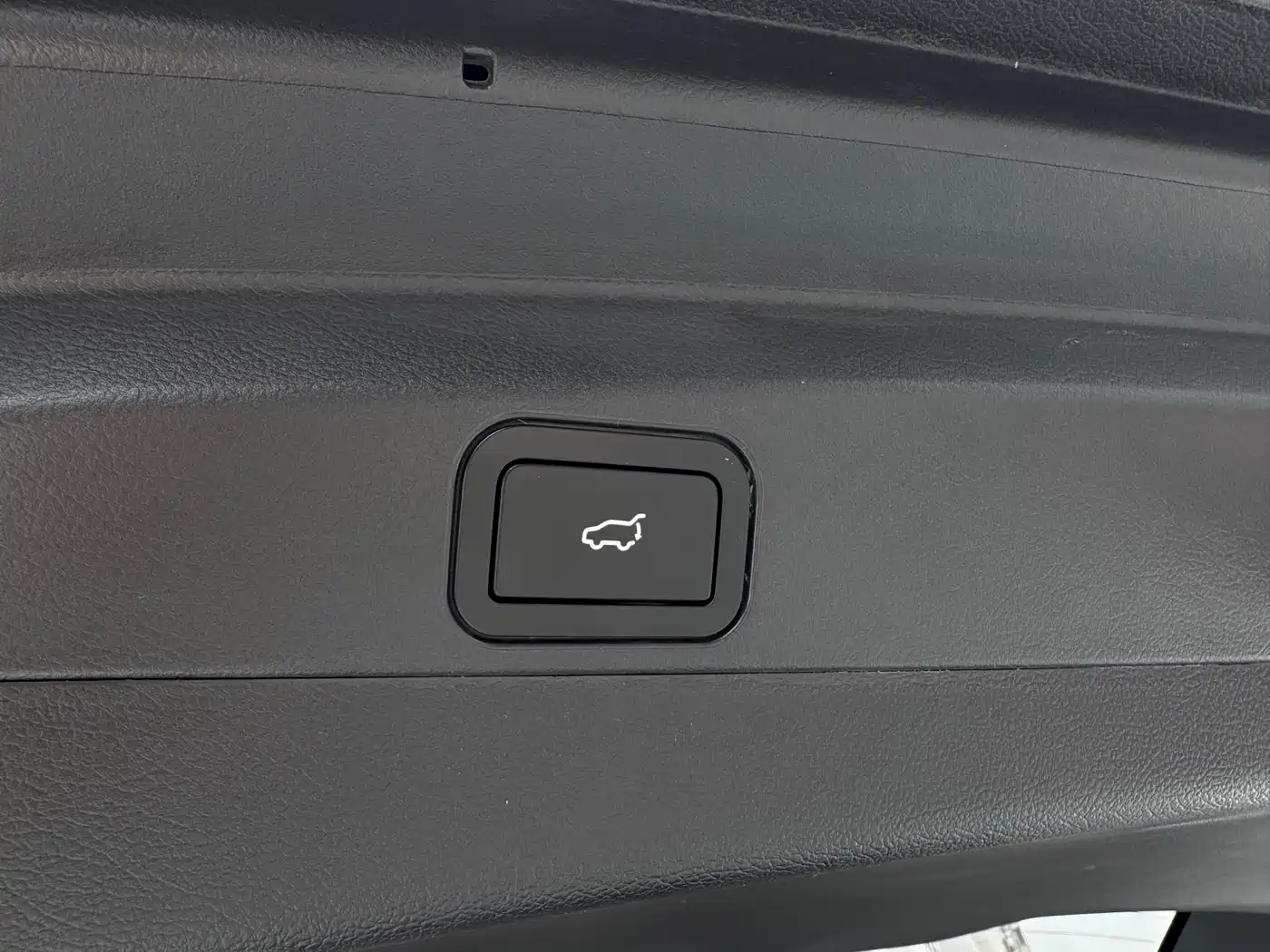 Weltmeister W6 2021 2021 520km ACE Ultimate Smart Edition