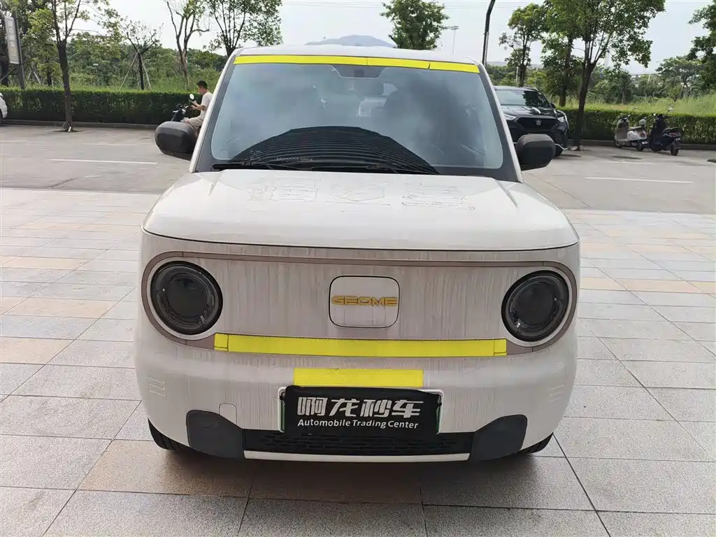 Geely Galaxy Panda 2023 2023 Panda Mini 200km Endurance Bear