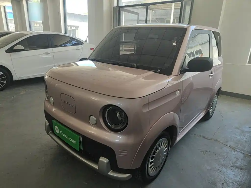 Ruilan Auto Ruilan Blue Elf 2025 Base Model