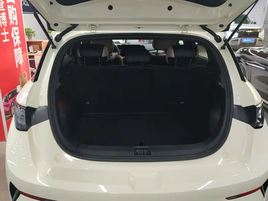 Фото 4 - BYD Dolphin