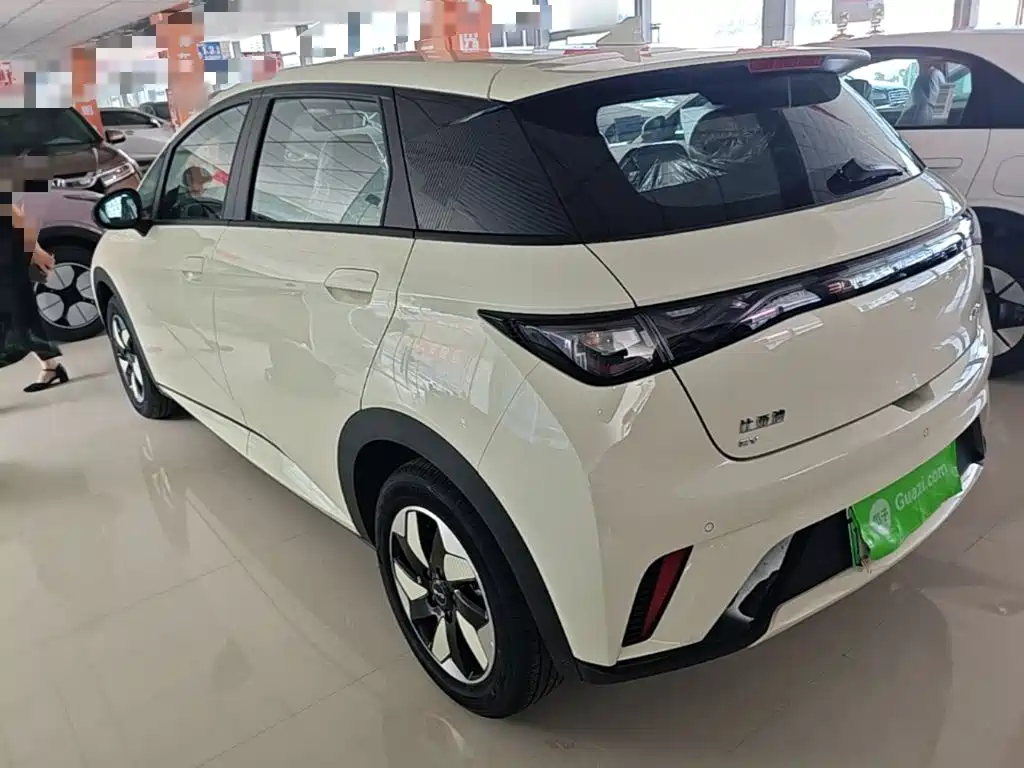 BYD Dolphin 2026 2025 420km Freedom Edition