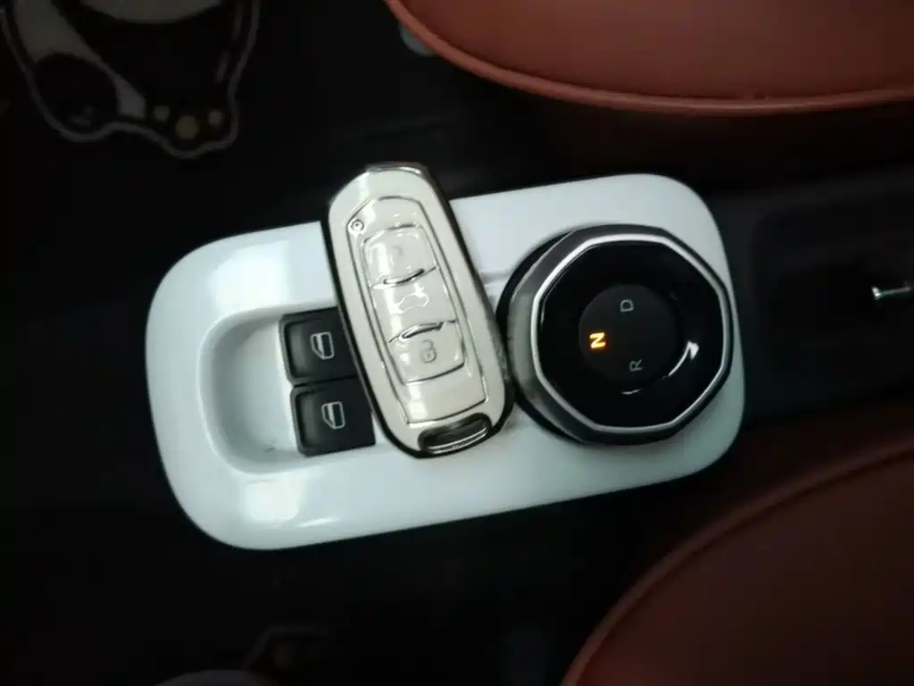Geely Galaxy Panda 2025 Panda mini 210km Vitality Bear фото 9