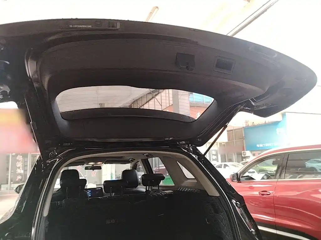 Landian E5 2024 2024 Glory Edition 100KM Comfort Type 5-Seater