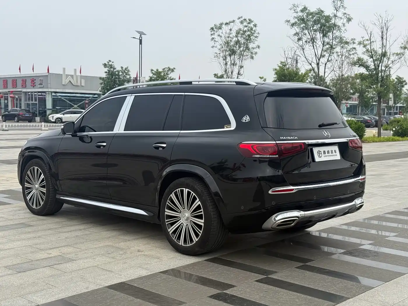 Mercedes-Benz Maybach GLS 2022 GLS 480 4MATIC фото 11