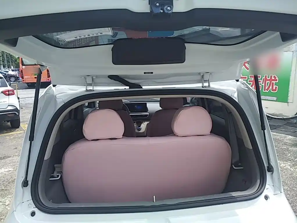 Ora White Cat 2020 2020 360km Luxury Model