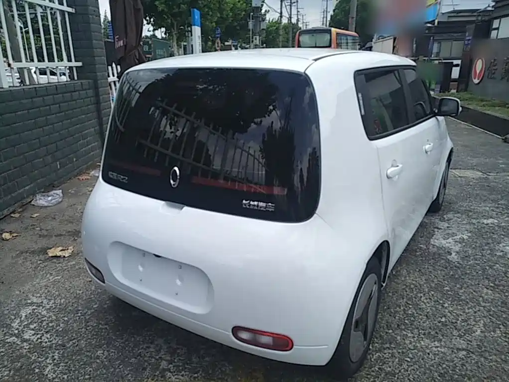 Ora White Cat 2020 2020 360km Luxury Model
