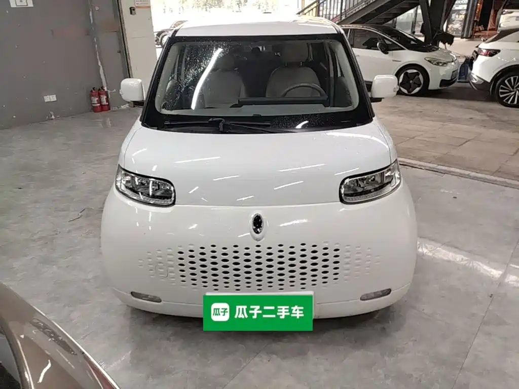 Ora White Cat 2021 2020 360km Luxury Model
