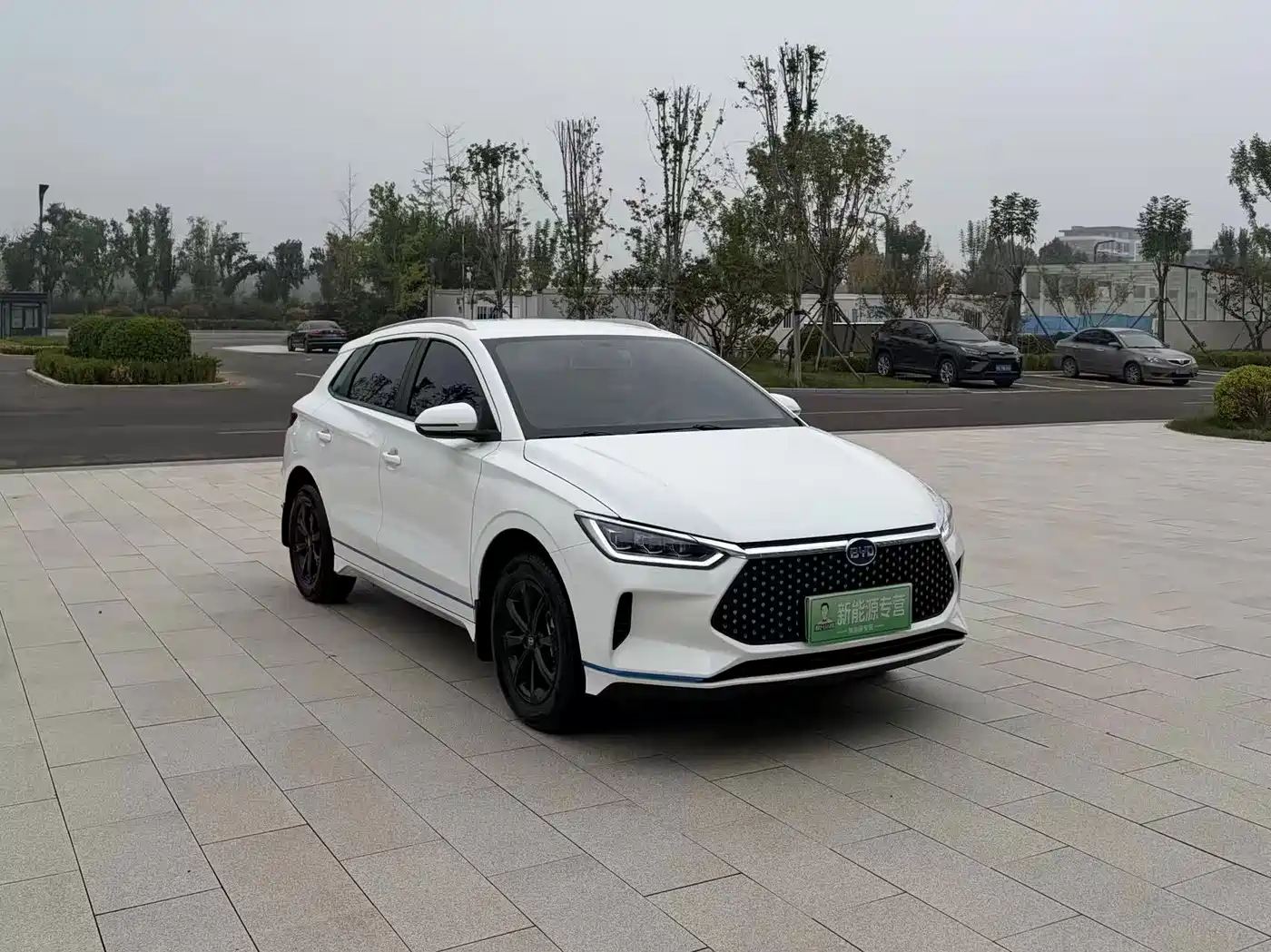 BYD e2 2022 2021 Luxury Edition