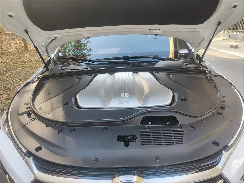 BYD Tang New Energy 2021 DM-i 112KM Honor фото 11