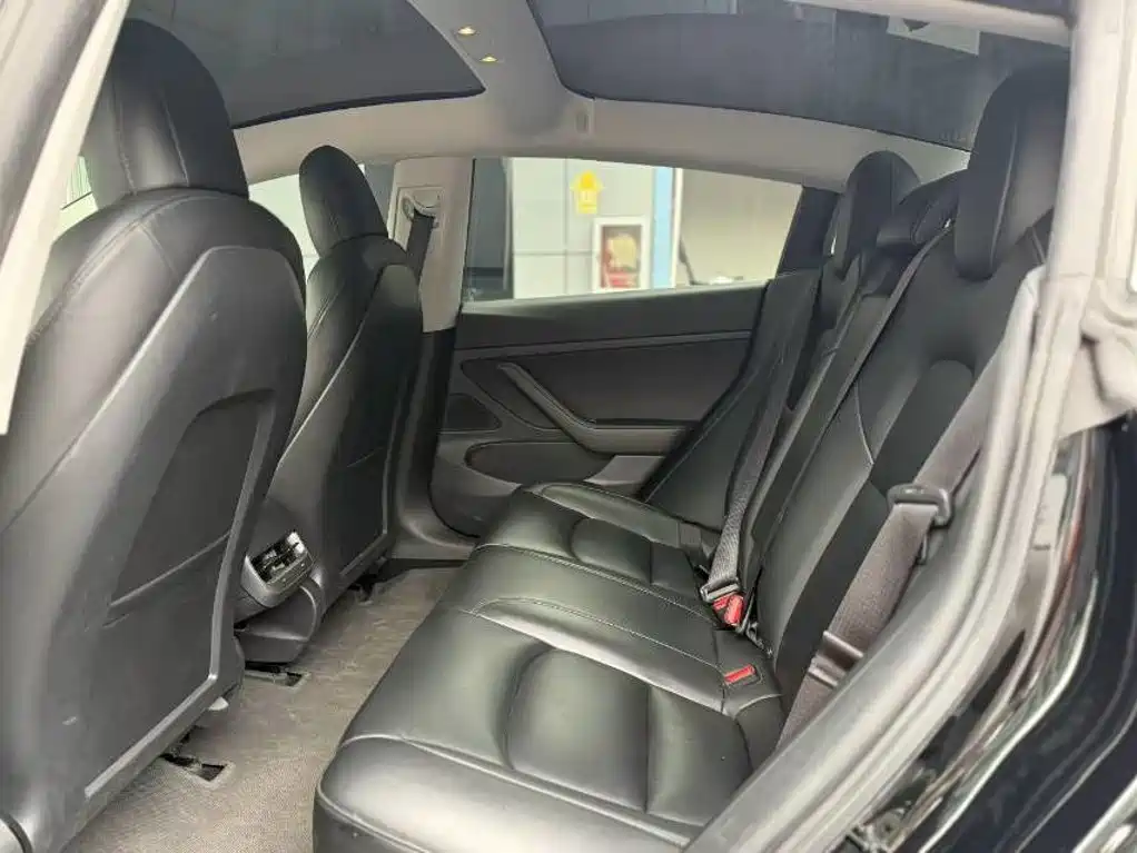 Tesla Model 3 2020 2020 Standard Range Rear-Wheel Drive Upgrade