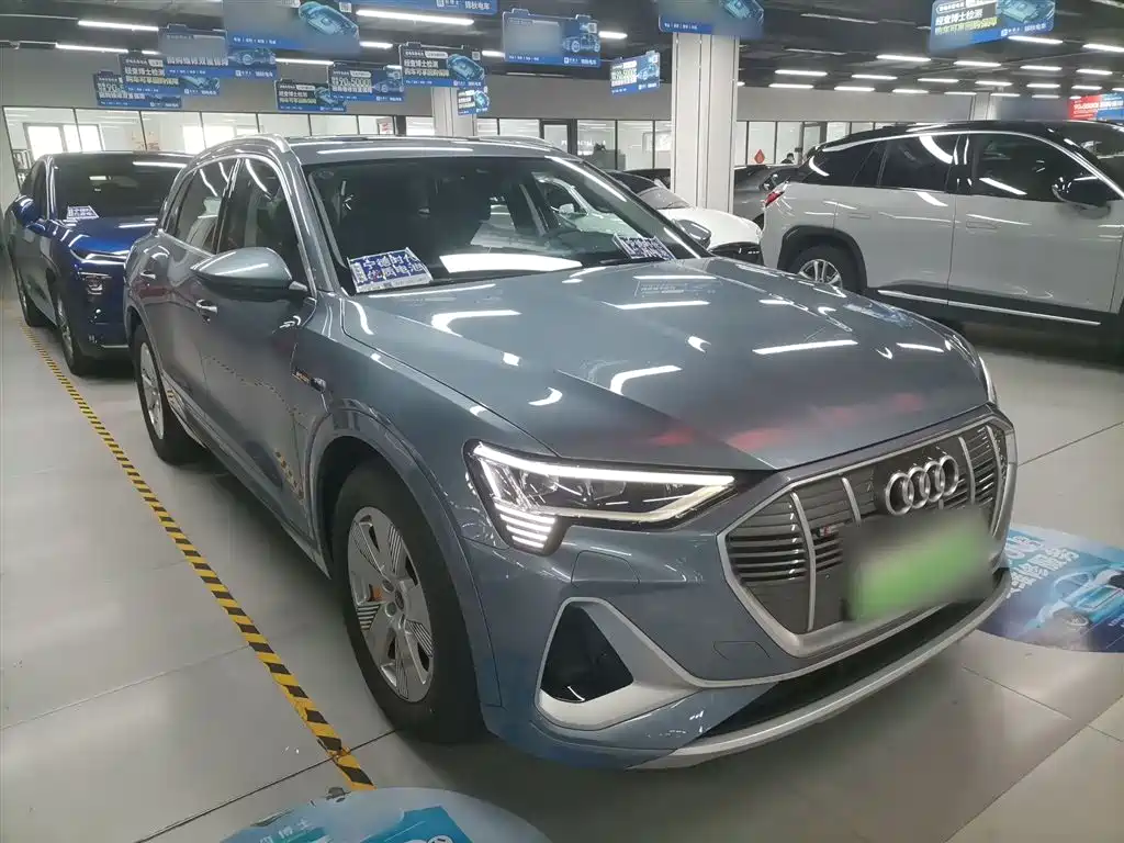 Audi e-tron 2021 50 quattro Luxury фото 23