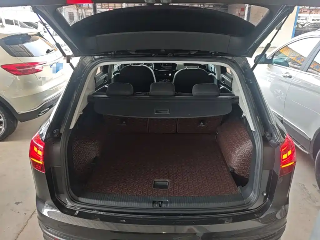 VOLKSWAGEN TANYUE