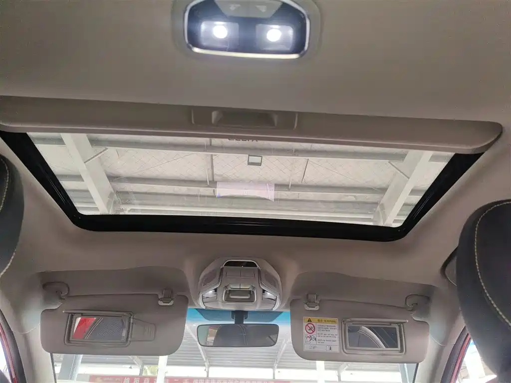 Фото 7 - Geely Binrui