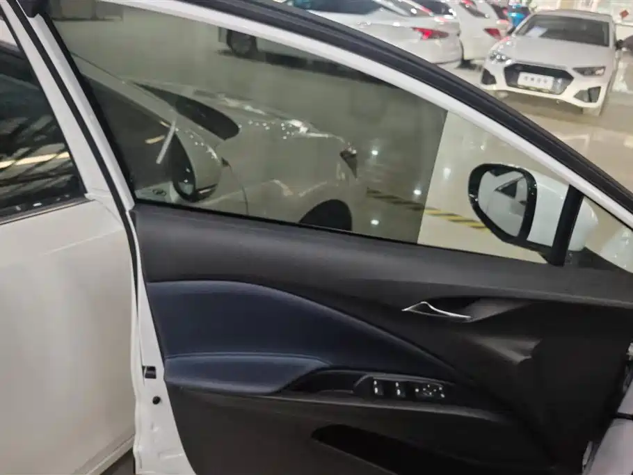 BUICK SLIGHTLY BLUE 6