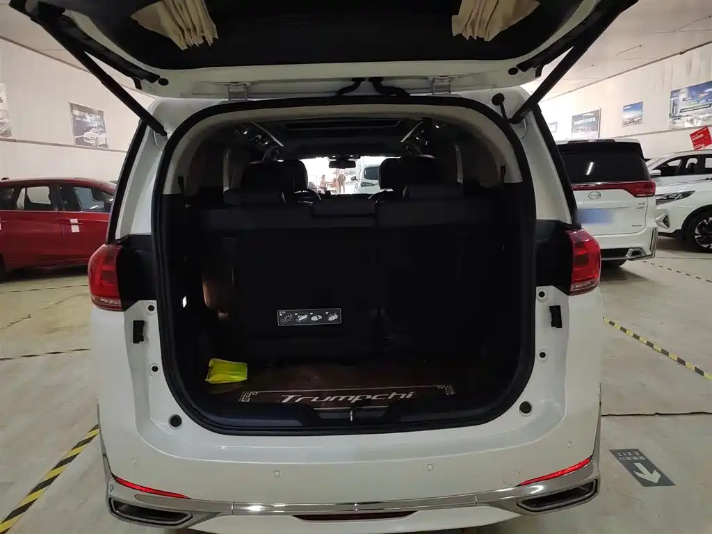 GAC Trumpchi Trumpchi M8 2021 Leading Show Series 390T Ultimate Edition фото 9