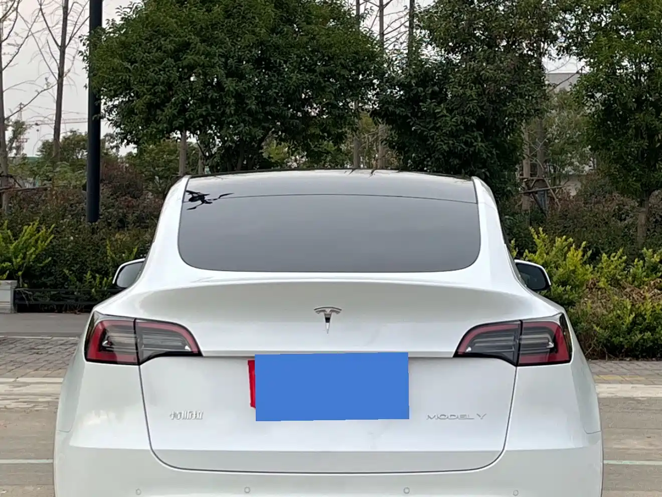 TESLA MODEL Y