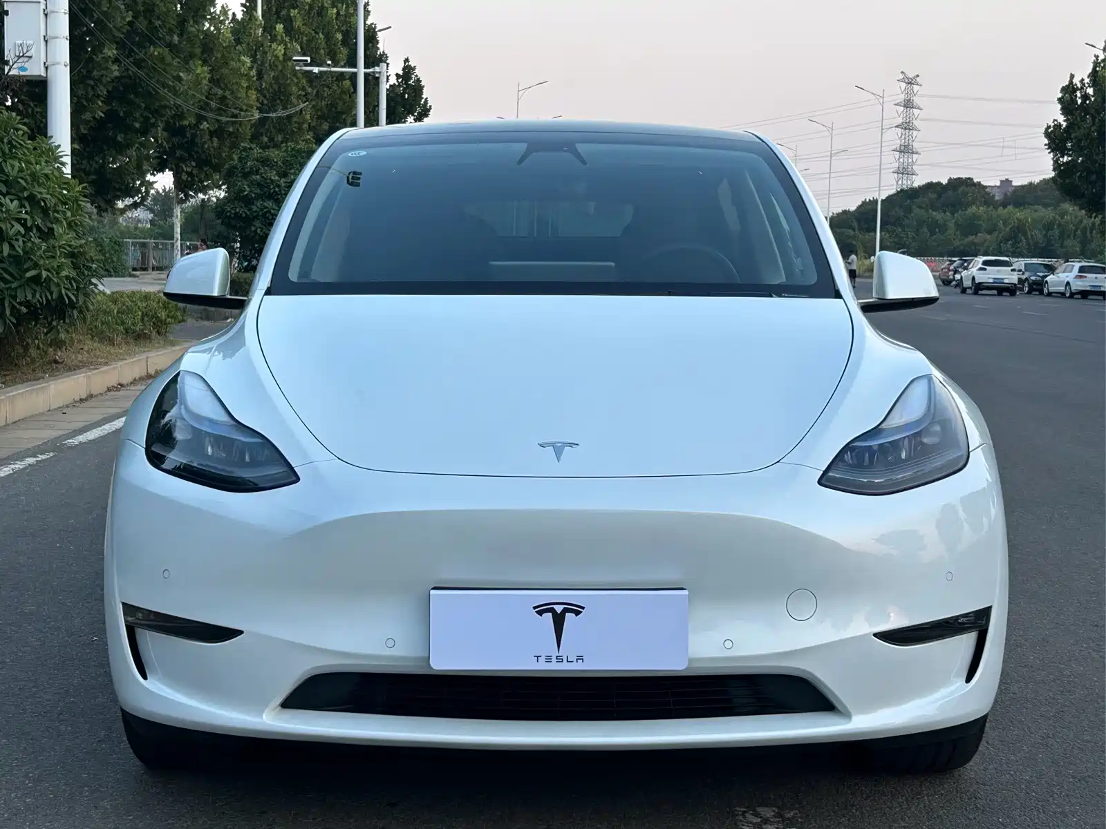 Фото 2 - Tesla Model Y