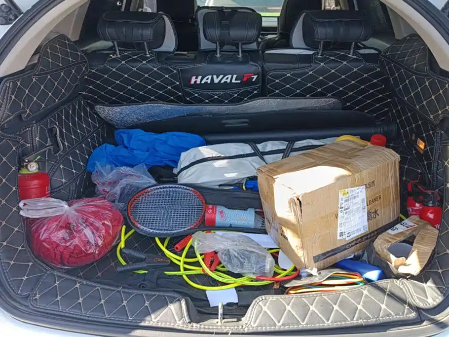 Фото 4 - Haval F7