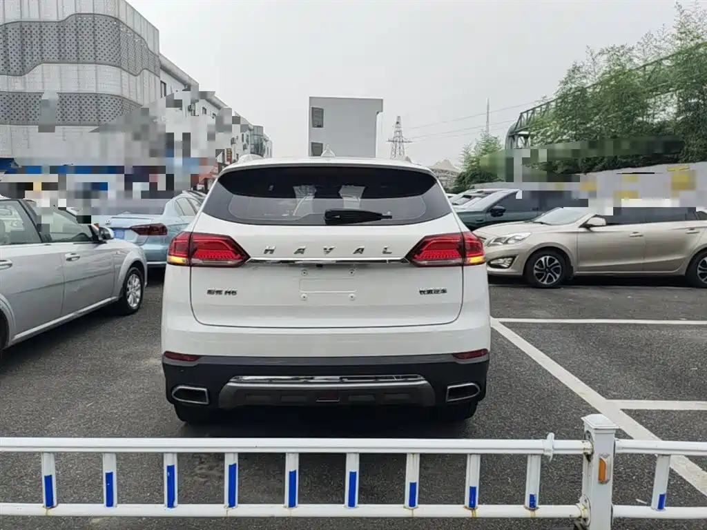 Haval H6 2019 Blue Label 1.5GDIT Automatic Luxury Smart Connect Edition фото 6