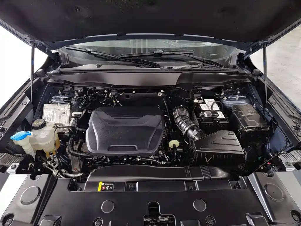 Haval Big Dog 2024 1.5T DCT Border Collie Edition фото 6