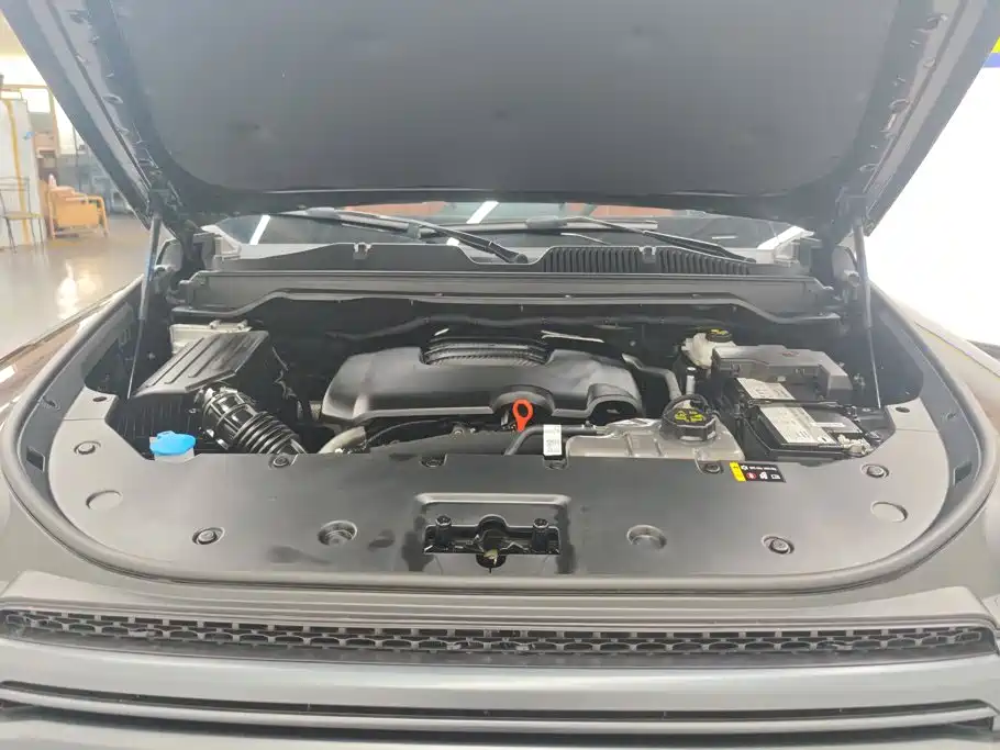 Haval H9 2024 2024 2.0T Gasoline AWD Extreme Edition
