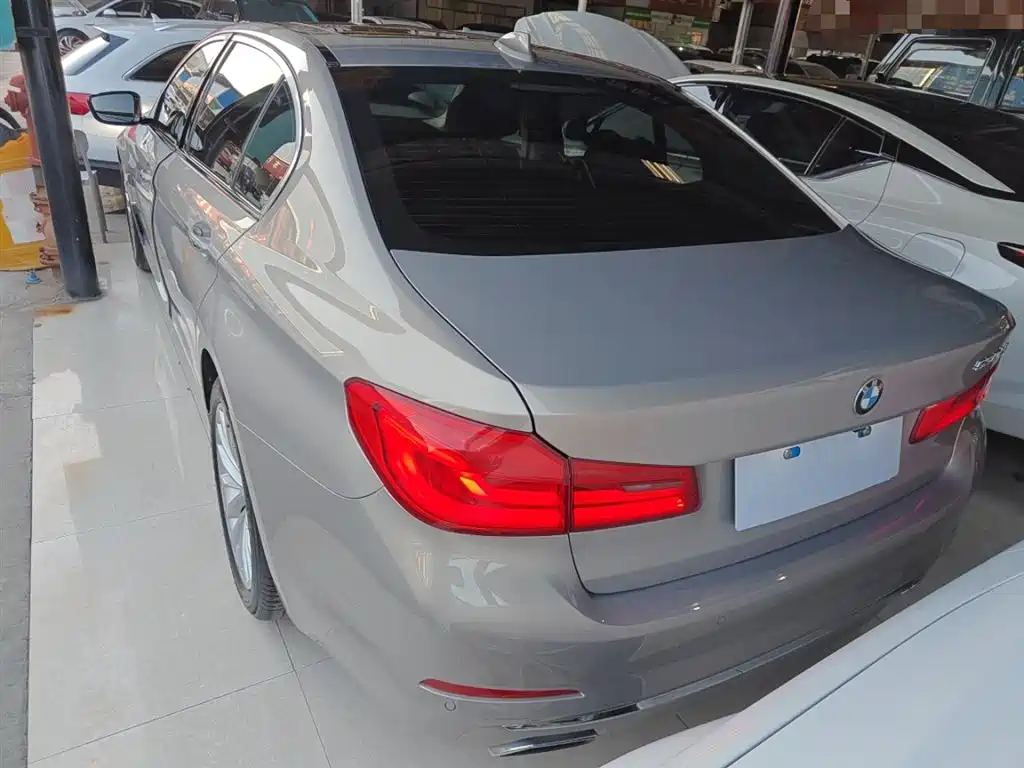 BMW 5 Series 2018 530Li Leading Luxury Package фото 22