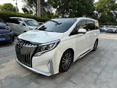 Trumpchi M8