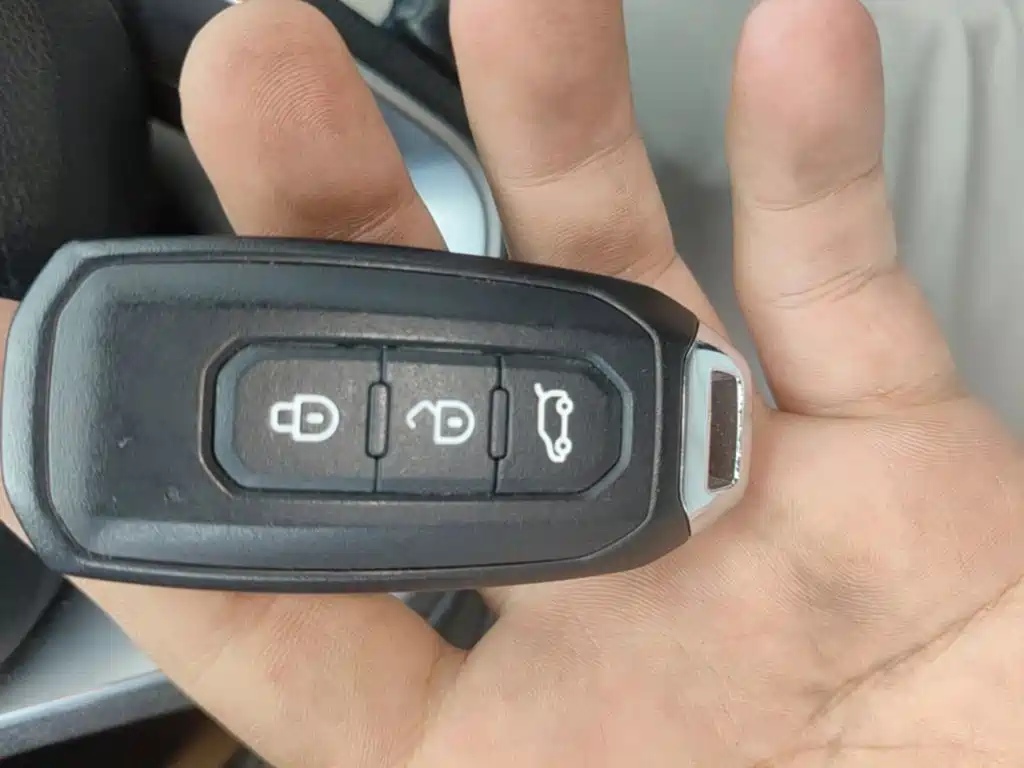 Ford Territory EV 2020 2019 Silent Leader Edition