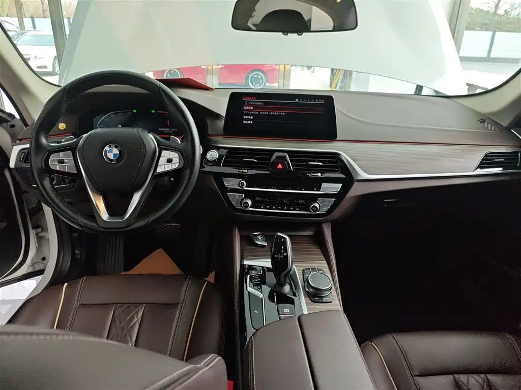 BMW 5 Series 2020 530Li Leading Luxury Package фото 12