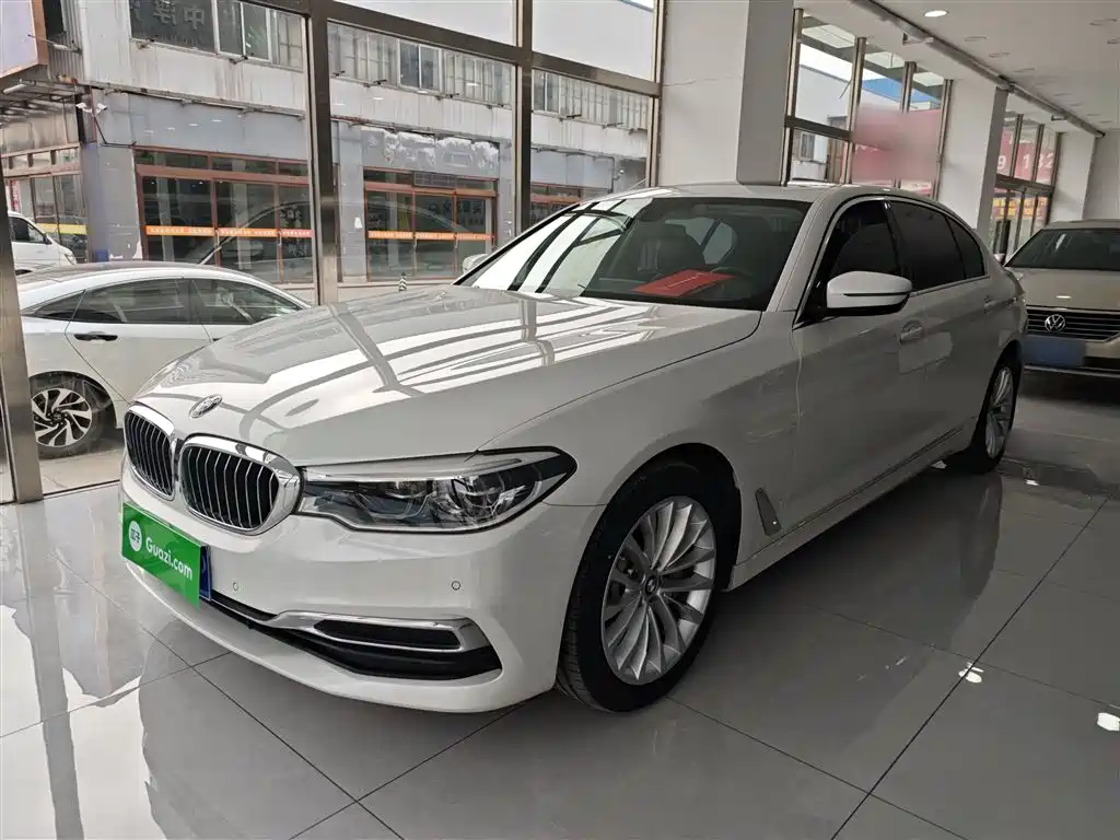 BMW 5 Series 2020 530Li Leading Luxury Package фото 2