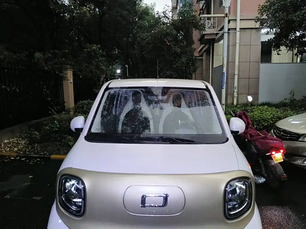 Photo 3 - Besturn Bestune Pony