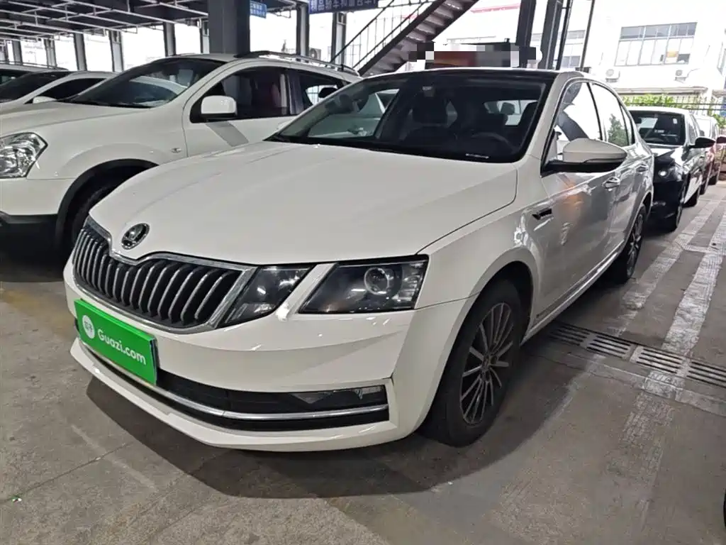 Škoda Octavia 2019 TSI230 DSG Zhixing Luxury Edition China VI