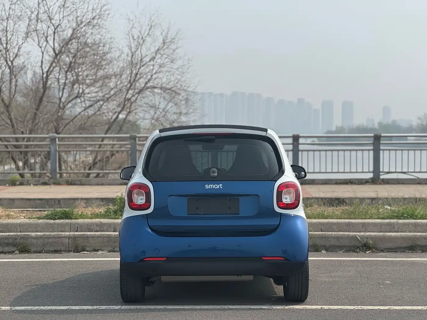 smart fortwo 2019 2018 1.0L 52kW Hardtop Agile Edition China V