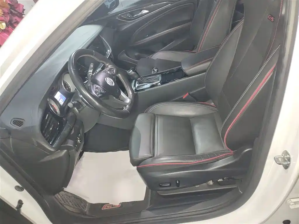 Buick Regal 2017 GS 28T Luxury Model фото 14