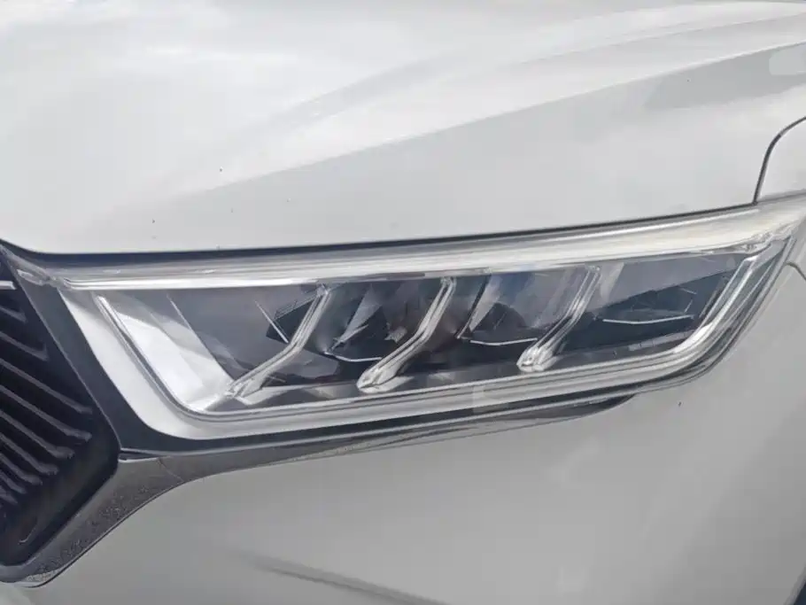 Changan Oshan X7 2021 2021 1.5T Automatic Luxury