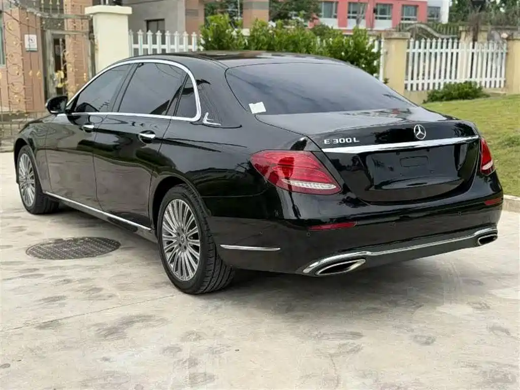 Mercedes-Benz E-Class 2020 E 300 L Fashion фото 8