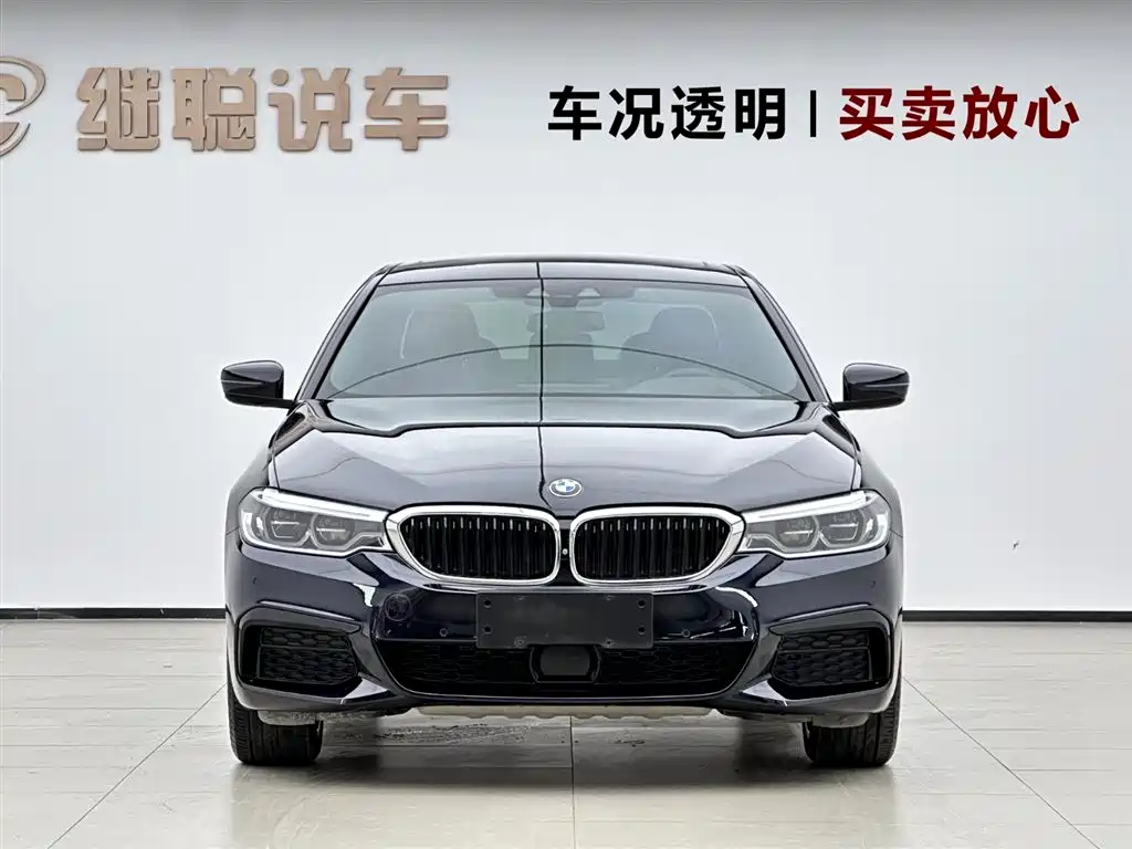 BMW 5 Series 2020 Model 530Li Executive M Sport Package фото 2